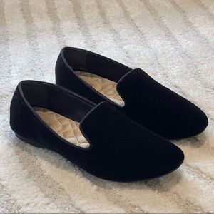 The Starling in Black Velvet by Birdies